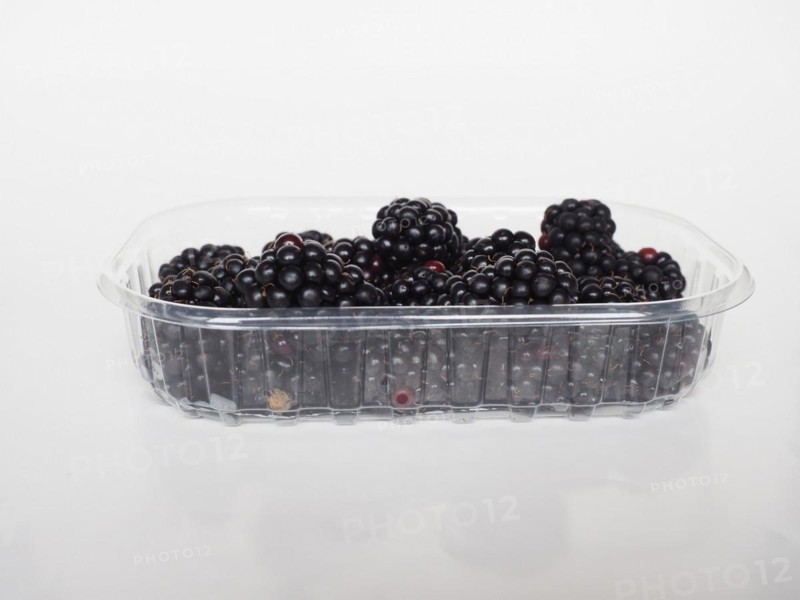 Blackberry fruit in plastic box
