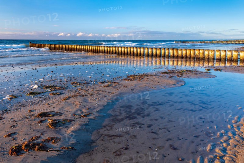 Groynes on the beach of the Baltic Sea in the evening light
