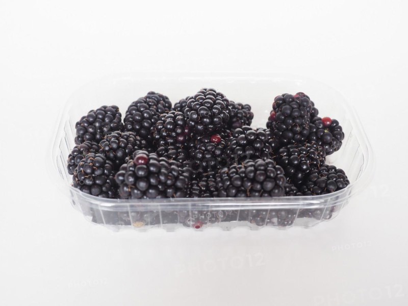 Blackberry fruit in plastic box