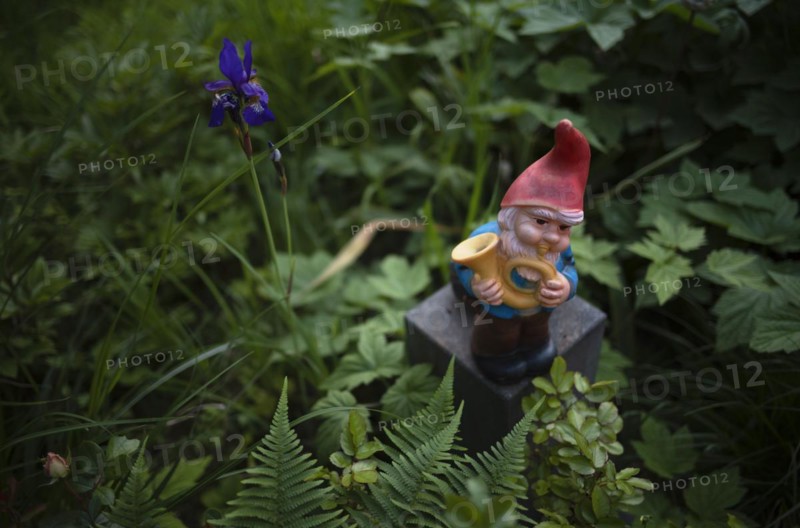 Garden gnome in garden