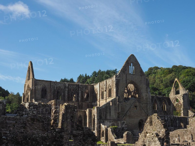 Tintern Abbey