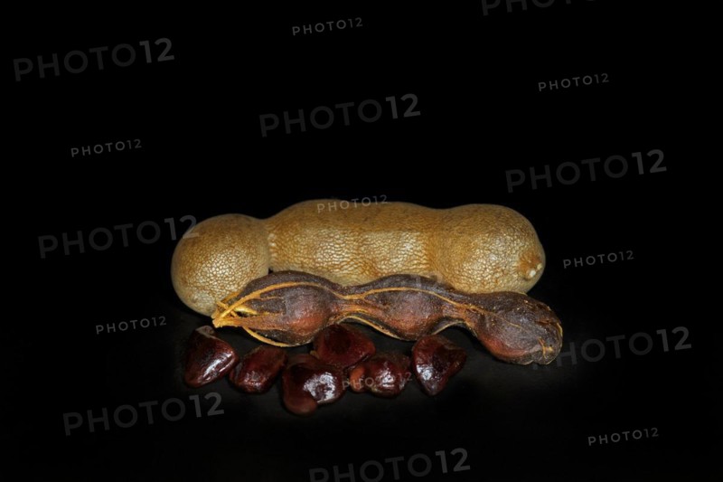 Released fruit body