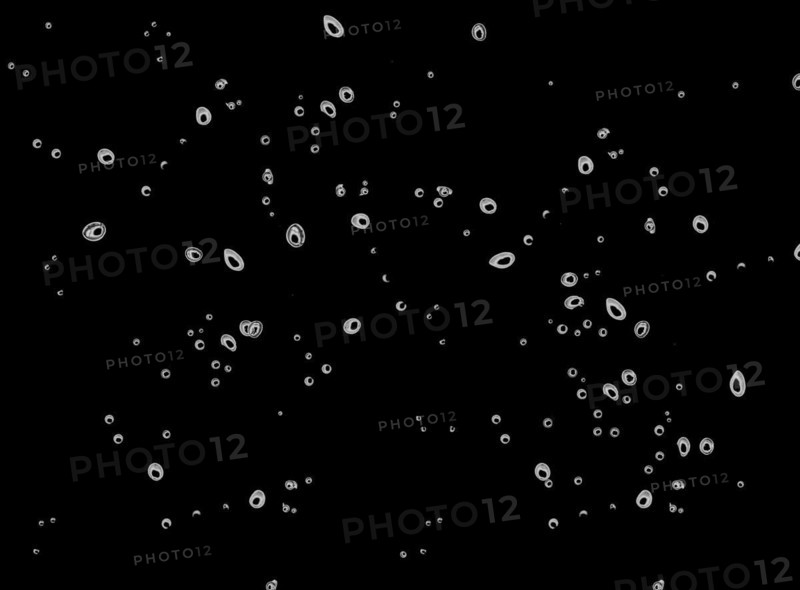 Cropped water drops raindrops rainy mist small droplets drops on transparent translucent background