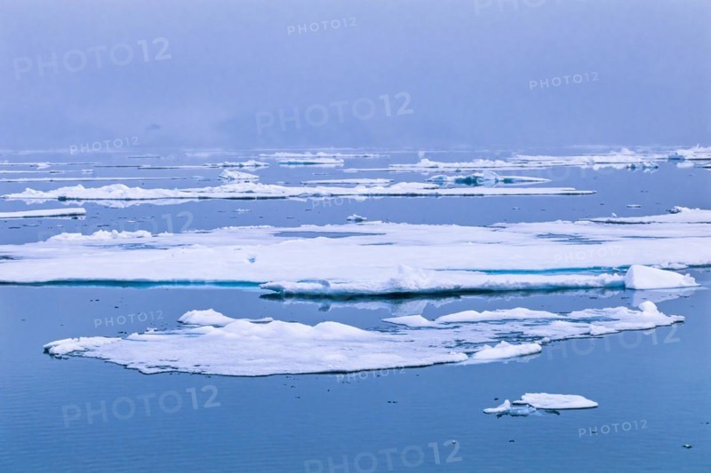 Melting ice floating in a foggy Arctic ocean