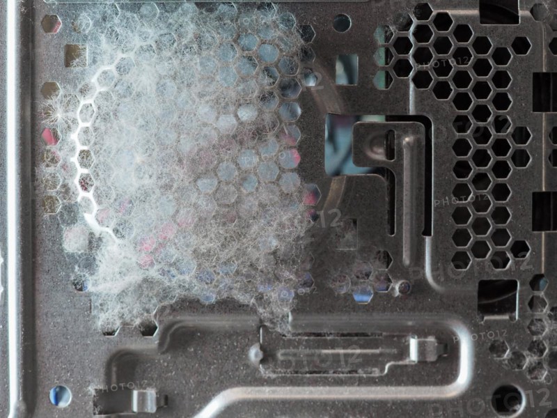 Dust and pollen in computer case