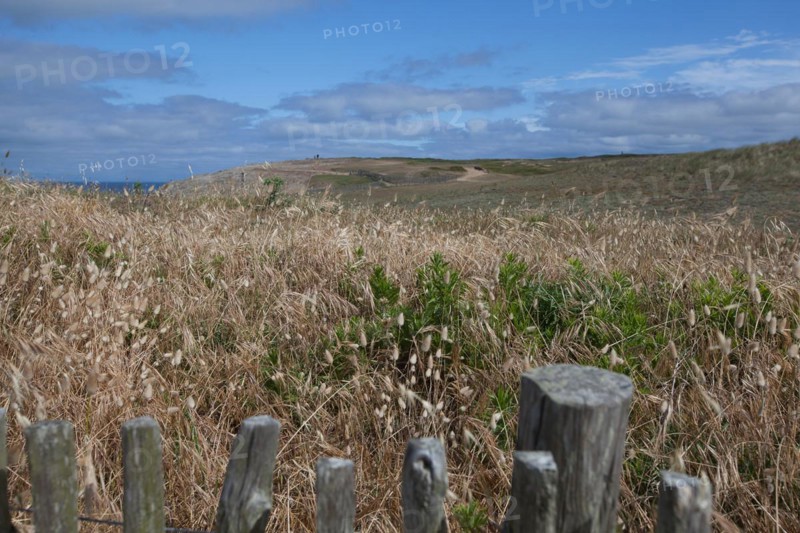 Wild Coast
