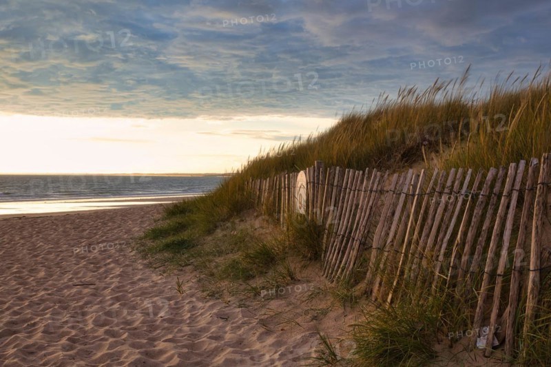 Evening atmosphere on the beach