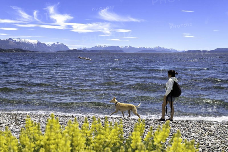 Young woman playing with her greyhound dog on a walk