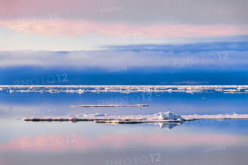 Ice floes on a calm arctic sea in beautiful light at the golden hour