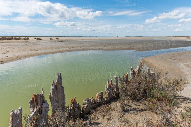Typical landscape in a lagoon of the Rhone delta in the Camargue. Saintes Maries de la Mer