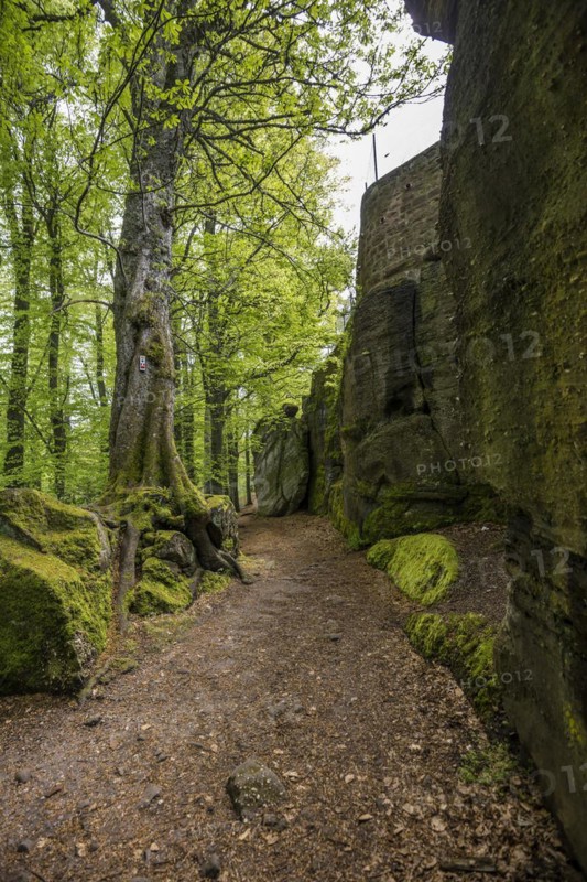 Hiking trail and rocks