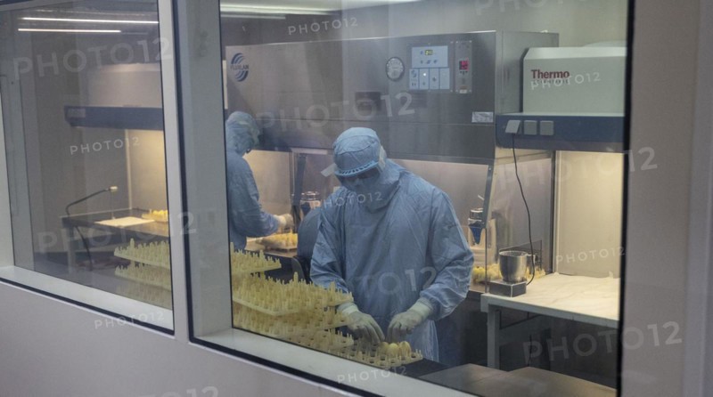 Production of vaccine