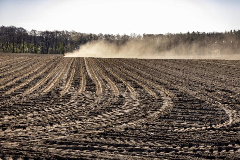 Maize sowing precision drill Vaederstad Tempo