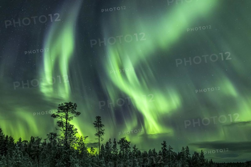 Northern Lights