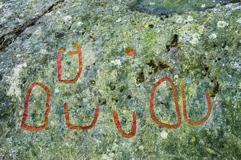 Detail of one of the famous Bronze Age rock carvings