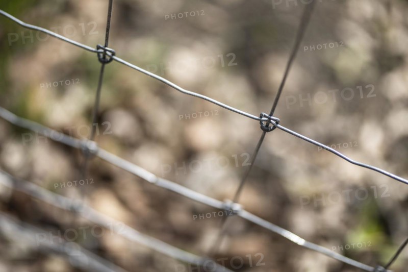 Protective fence against the spread of African swine fever