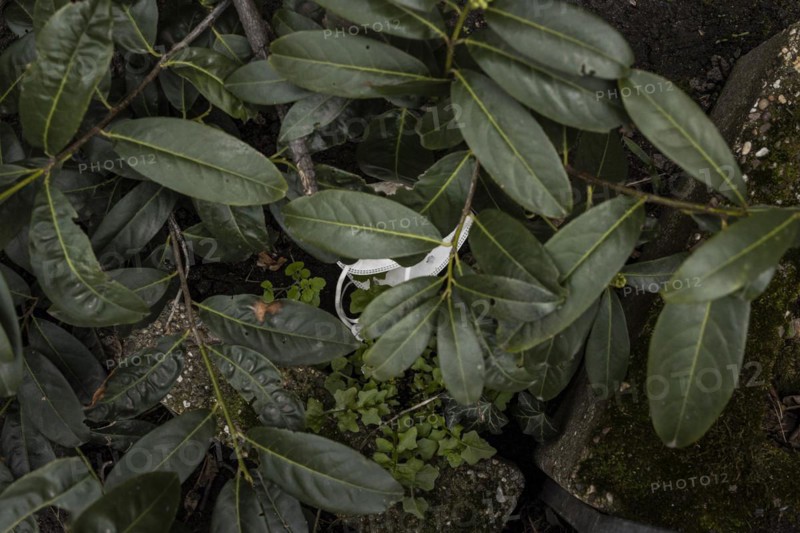 Discarded FFP2 masks lying in nature