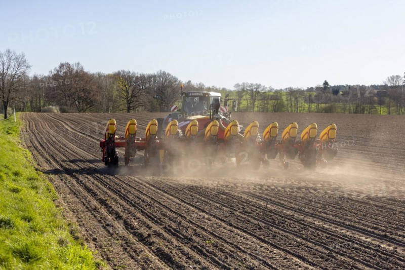 Maize sowing precision drill Vaederstad Tempo