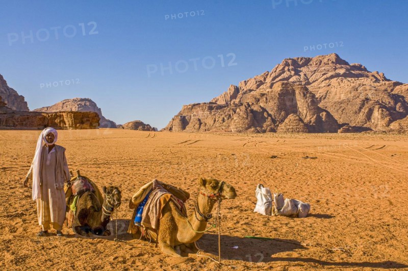 Bedouins with camels in desert