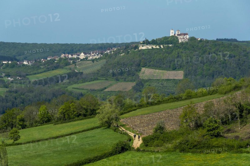 Vezelay labelled les Plus Beaux Villages de France. Unesco World heritage. Morvan regional natural park. Via Lemovicensis way to Santiago de Compostela. Yonne department. Bourgogne Franche Comte. France