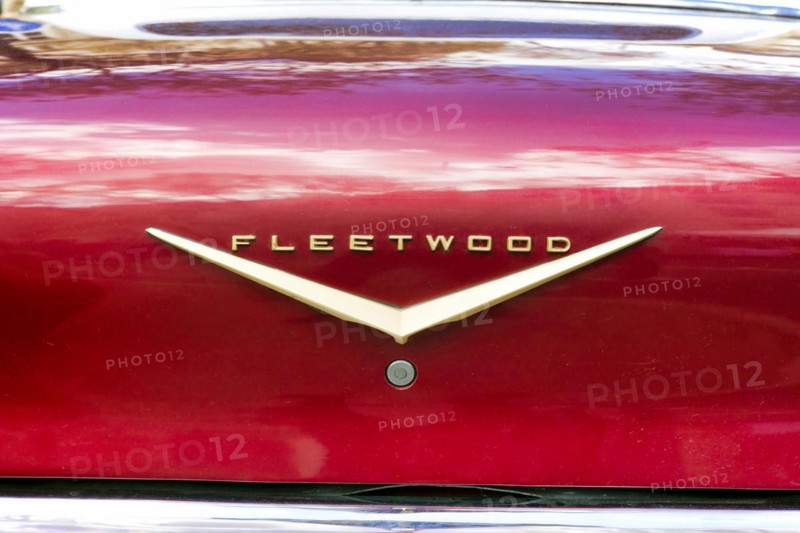 Cadillac Fleetwood logo on the boot
