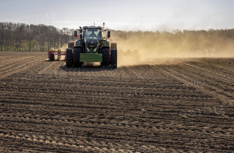 Maize sowing precision drill Vaederstad Tempo