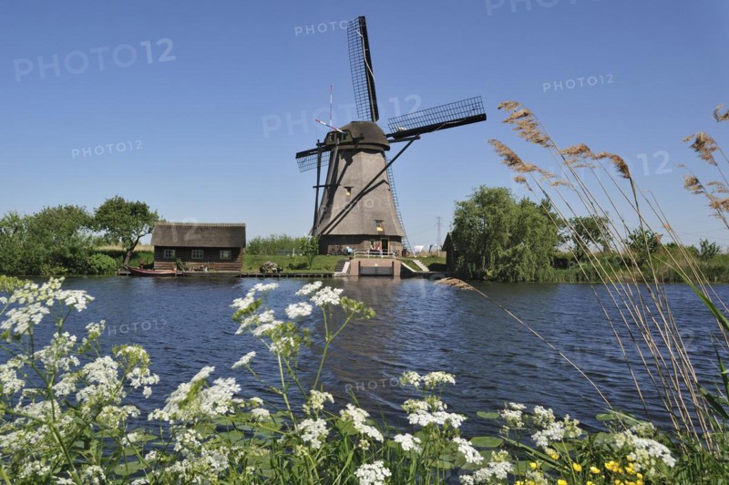 Thatched polder windmill at Kinderdijk