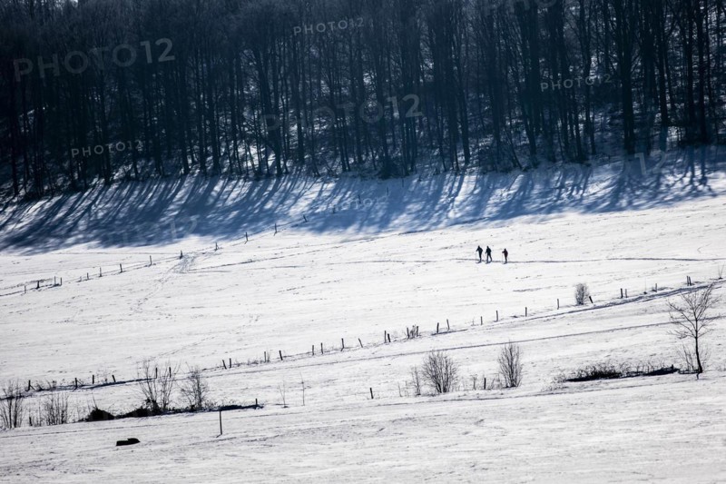 Cross-country skier
