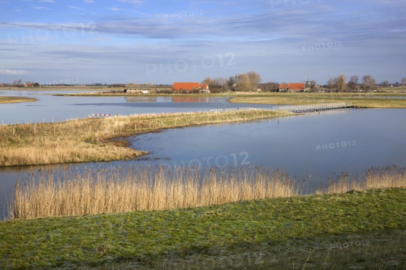 The nature reserve Schouwen-Duiveland