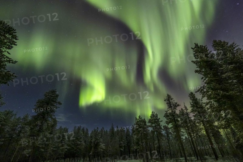 Northern Lights