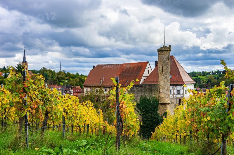 Surrounded by vineyards