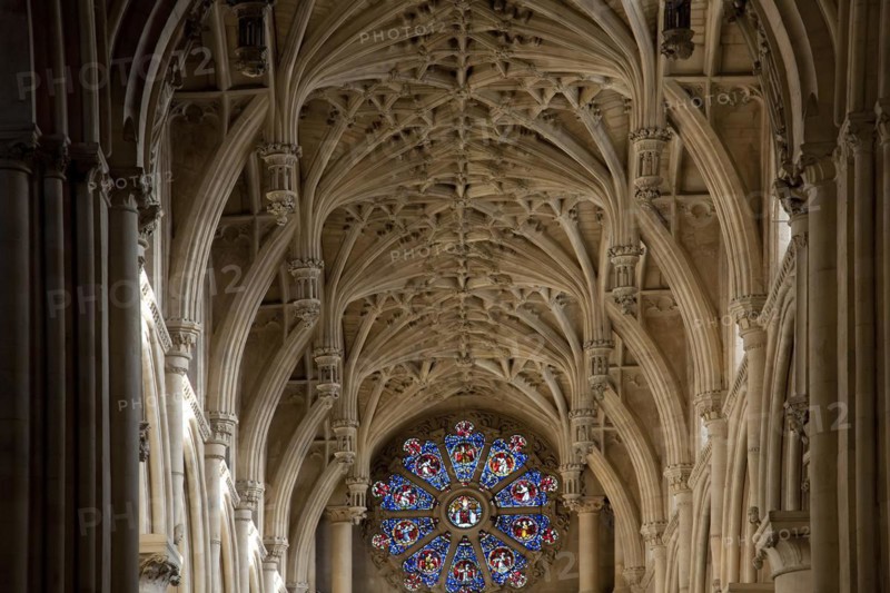 Rib-vault ceiling of the Christ Church Cathedral of the Oxford University