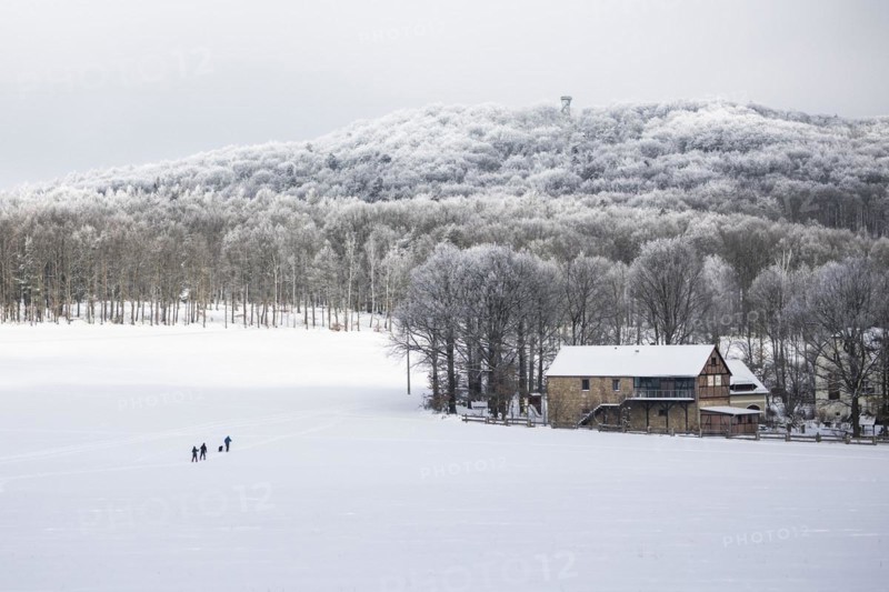 Cross-country skier