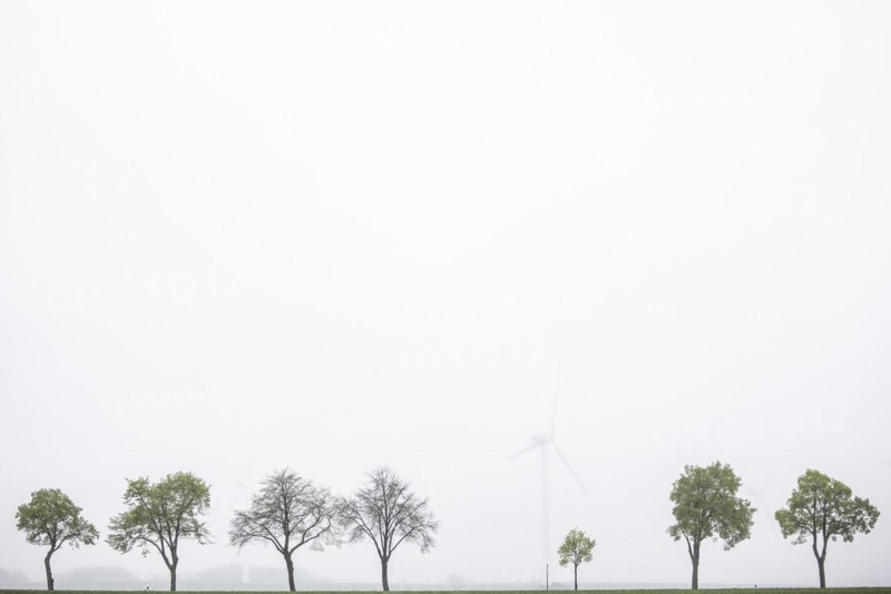 Trees along a country road stand out in front of wind turbines in Vierkirchen