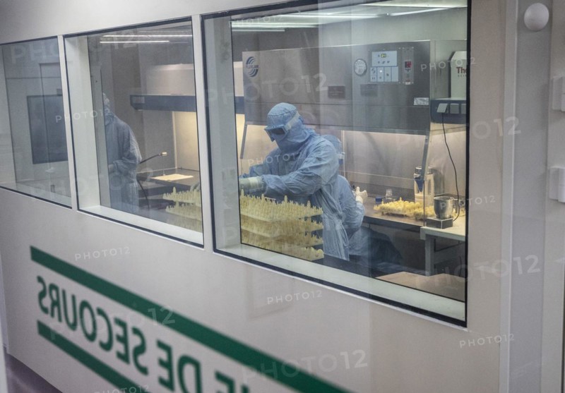 Production of vaccine