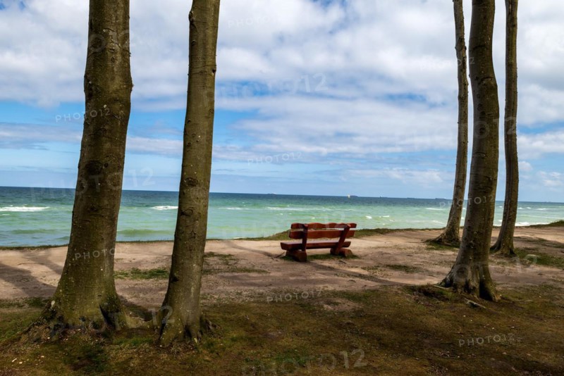 Lookout bench with a view of the Baltic Sea in the Ghost Forest near Nienhagen