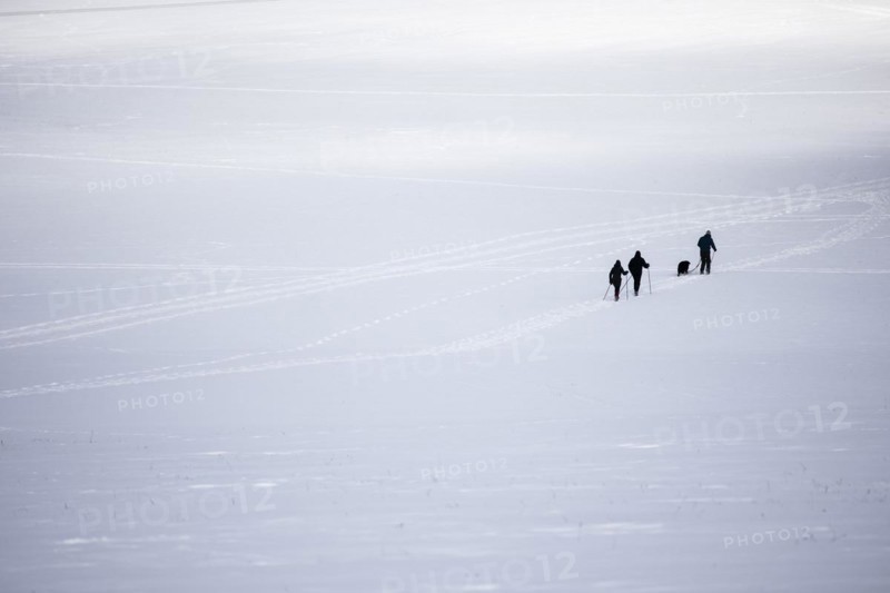 Cross-country skier