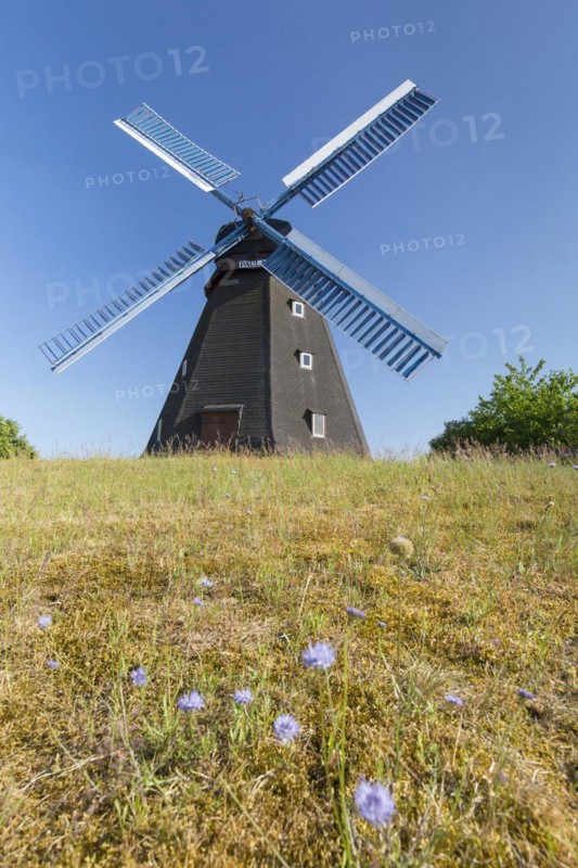 1863 windmill Paula
