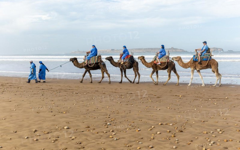 Tourists riding camels on beach dressed in blue Bedouin robes