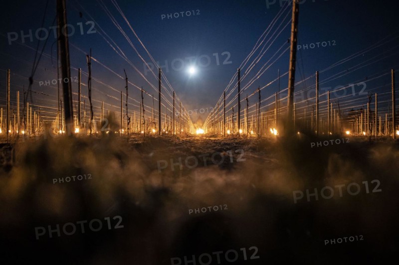 Fires loom on the vineyard of Wackerbarth Castle in Weinboehla