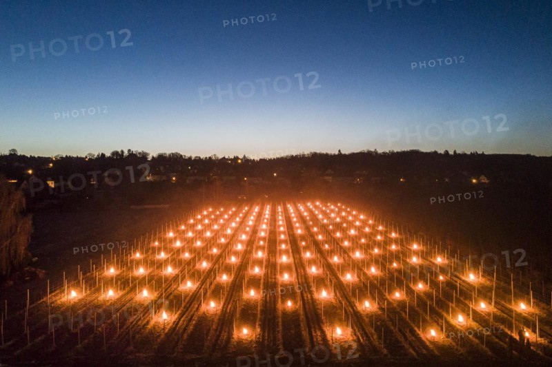 Fires loom on the vineyard of Wackerbarth Castle in Weinboehla
