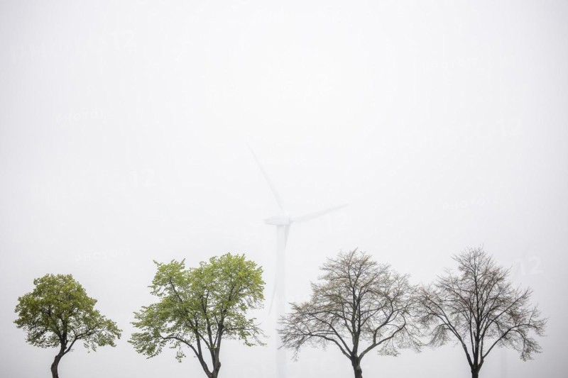 Trees along a country road stand out in front of wind turbines in Vierkirchen