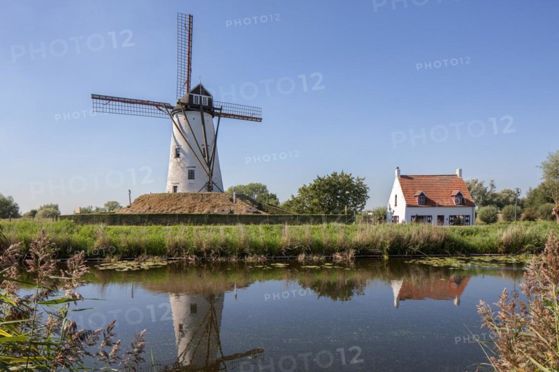 The Schellemolen