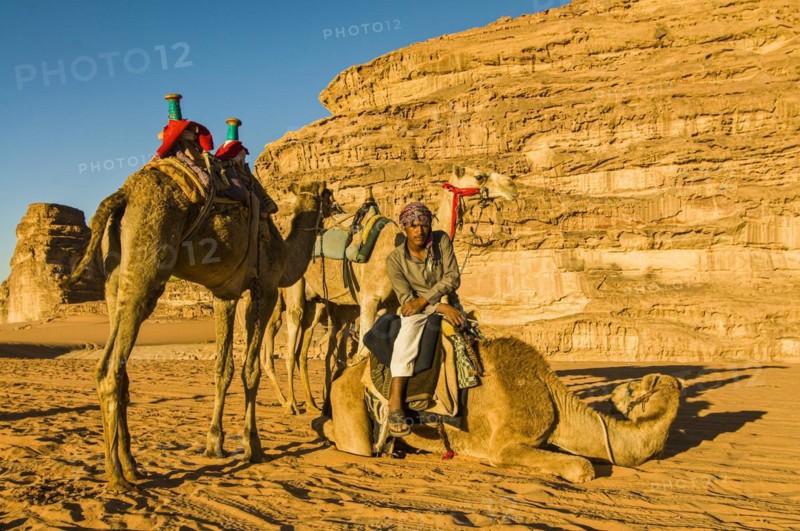 Friendly Bedouin with his camels