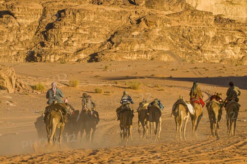 Bedouins with camels in desert