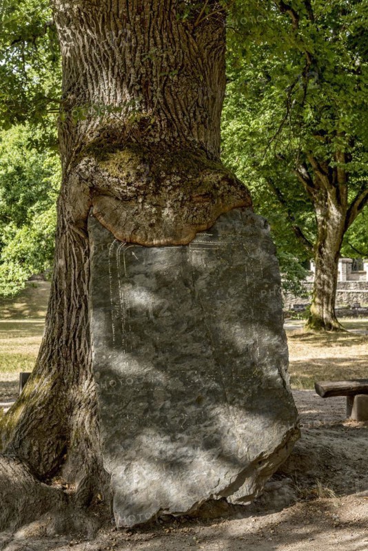 Stone slab
