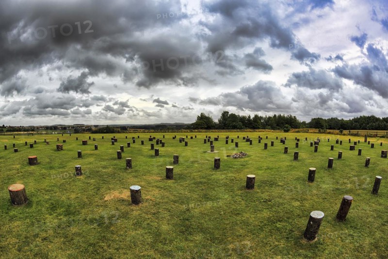 Woodhenge