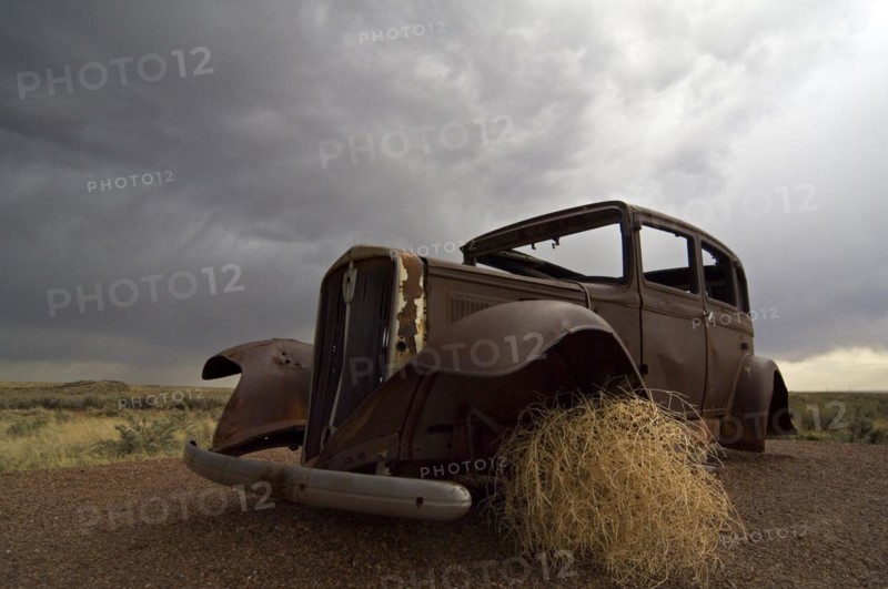 Old rusty car and Prickly Russian Thistle