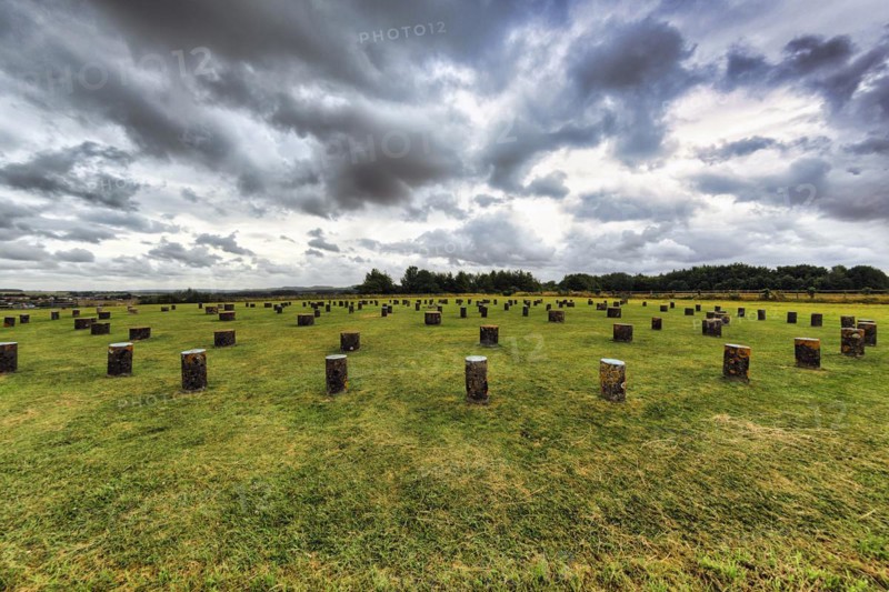 Woodhenge