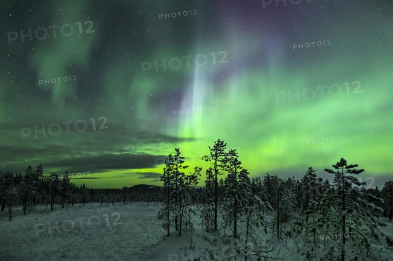 Northern Lights
